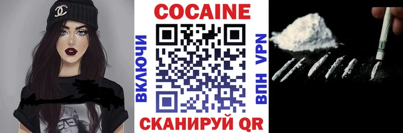 Купить закладки  Ядрин  COCAIN Fish Scale 
