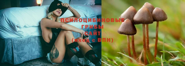 а пвп мука Верхний Тагил